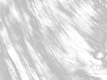 Black and white relief texture (ID:ffaeh830786)