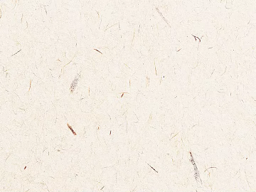 Cement texture (ID:ffaag35722)