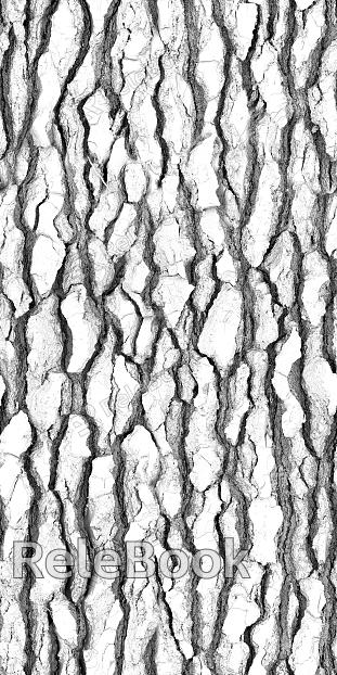 bark texture