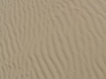 Modern Natural Ground Outdoor Ground Soil Beach Sand texture (ID:ffach939656)