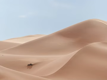 Wild Scenery 3d model