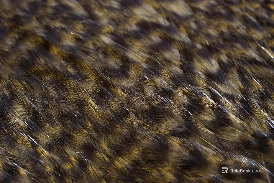 animal fur texture