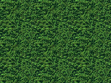 Plants texture (ID:ffacg18642)