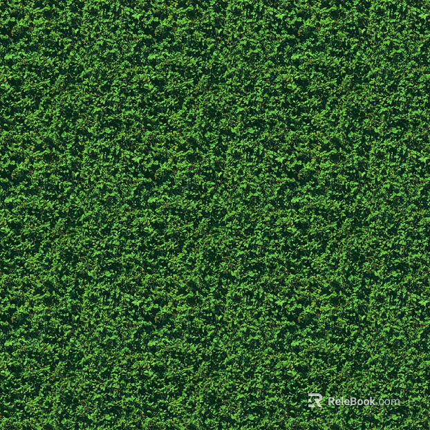 Plants texture