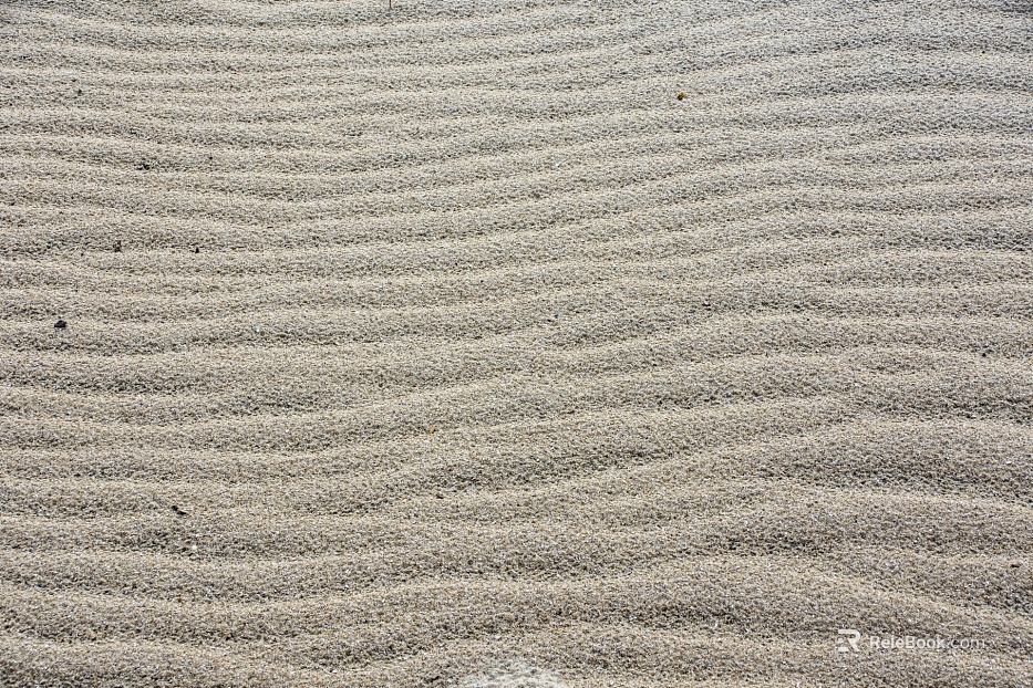 Beach texture