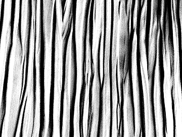 Black and White Bump texture (ID:ffacg32851)