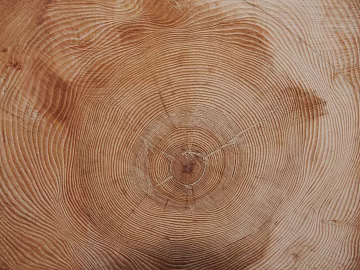 annual rings texture (ID:ffaag19280)