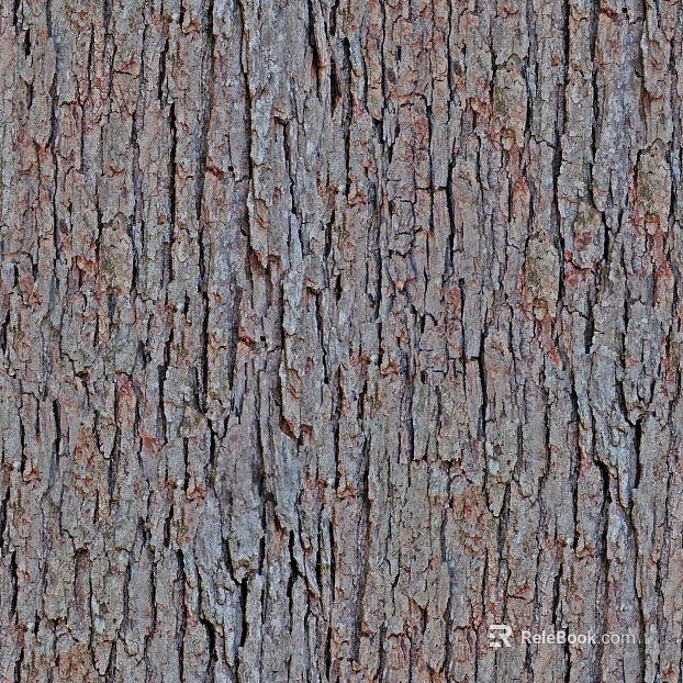 bark texture