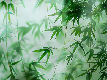 New Chinese bamboo background wall texture (ID:ffach160724)