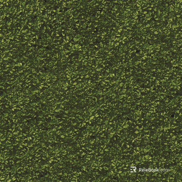 plant pattern texture