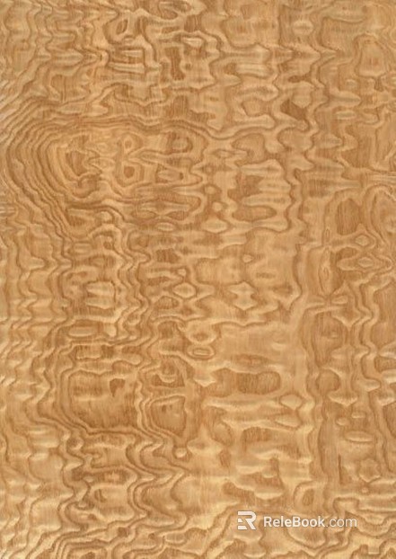 Wood grain of golden sinan texture