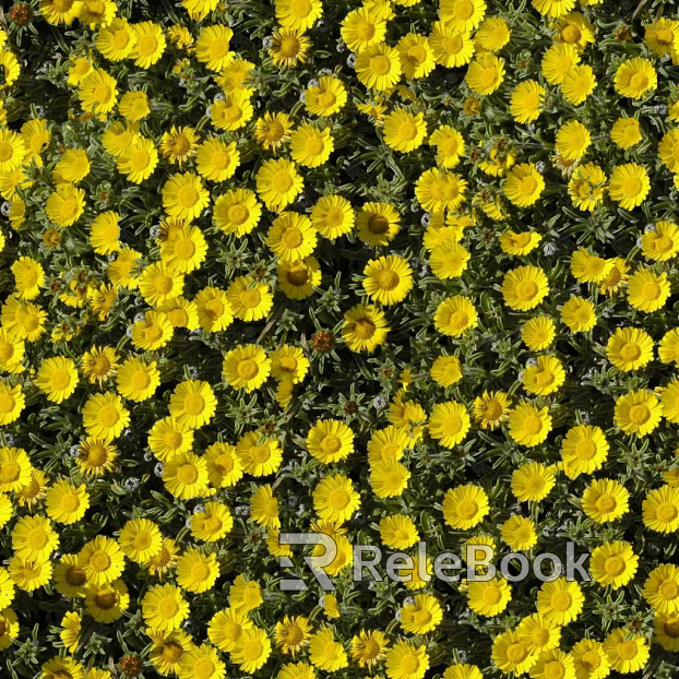 Flowers texture