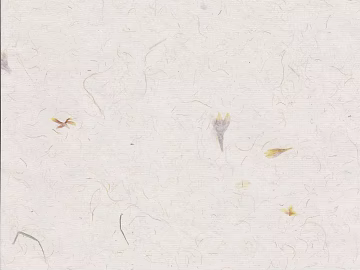 Plain Wallpaper 3d model