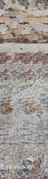bark texture
