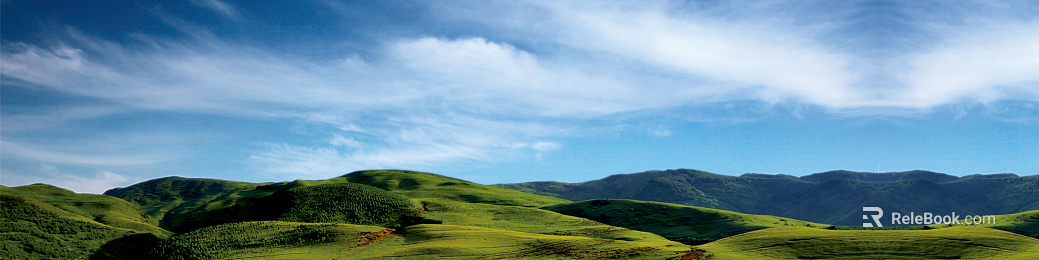 Wild Scenery texture