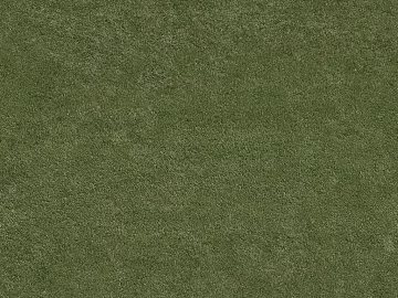 Turf texture (ID:ffajg78810)