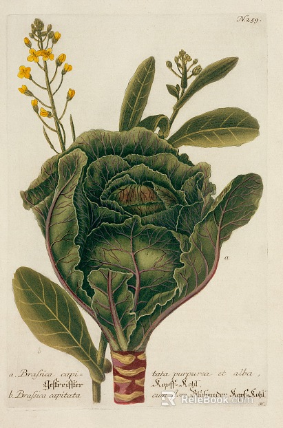 Plant painting texture