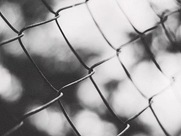 Barbed wire texture (ID:ffabg22977)