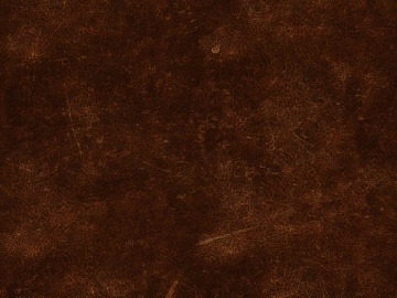 fine grain leather texture (ID:ffaeg22961)