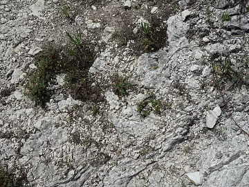Gravel texture (ID:ffaeg15443)
