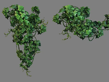 Plant painting texture (ID:ffagg38263)