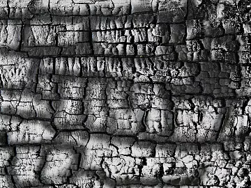 Black and White Bump texture (ID:ffaag66011)