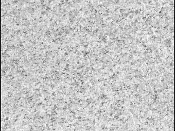 granite litchi surface sesame white granite texture (ID:ffacg30489)