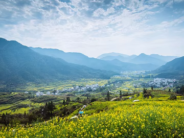 Pastoral scenery texture (ID:ffach553075)