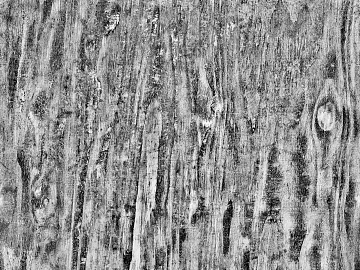Black and white wood grain texture (ID:ffach693060)