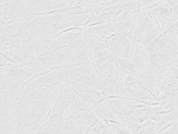 Black and White Bump texture (ID:ffajg48727)