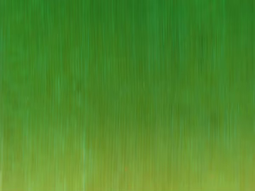 leaves 3d model