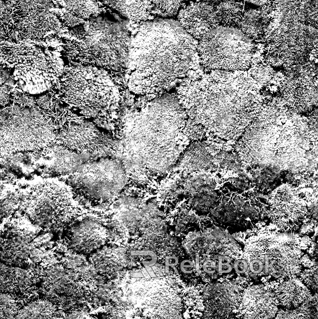 Black and White Bump texture