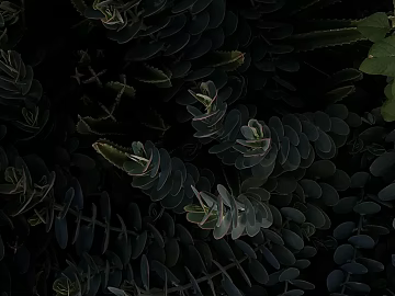 leaves texture (ID:ffagg07095)