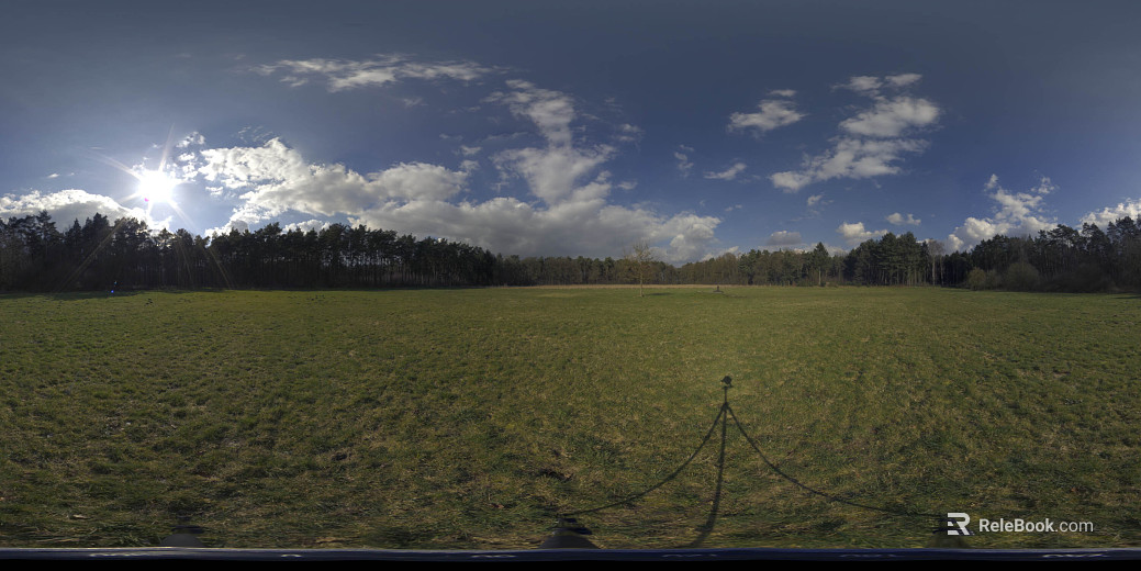 Outdoor Meadow Forest Daytime HDR texture