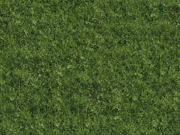 Turf texture (ID:ffabf1402)
