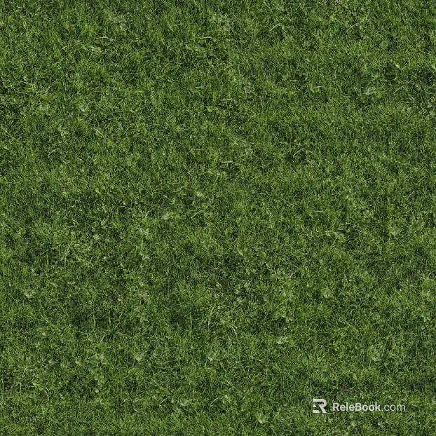 Turf texture