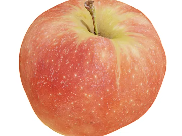 Apple PBR 3d model