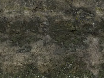 Gray green moss rock outdoor wall texture (ID:ffaeh117832)