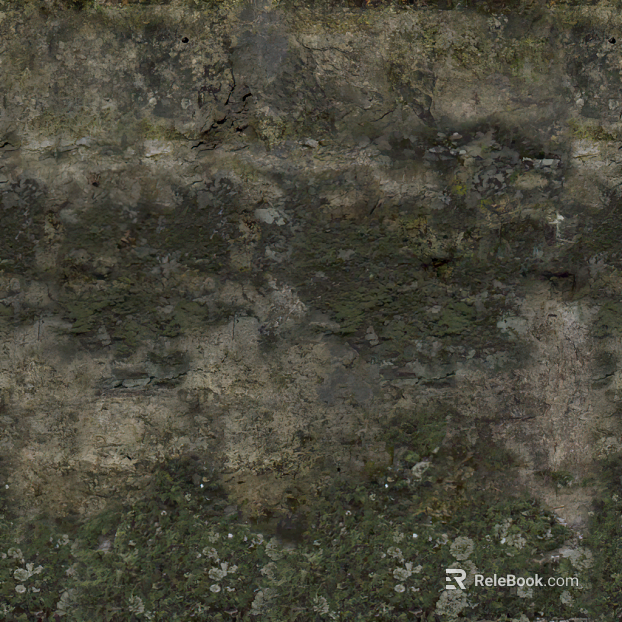 Gray green moss rock outdoor wall texture