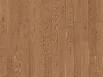 Light-colored oak wood flooring 3d model