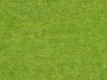 Turf texture (ID:ffacg84587)