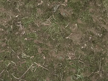 Turf texture (ID:ffajg02933)