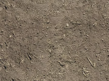 Mud texture (ID:ffajg41543)