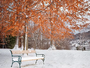 Snow 3d model