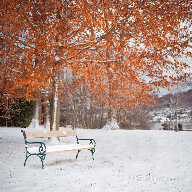 Snow texture