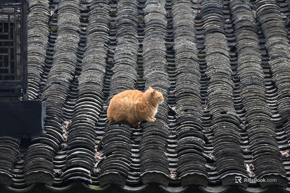 Roof texture