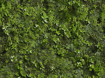 moss texture (ID:ffach698618)