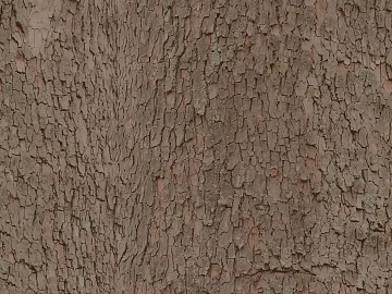 bark texture (ID:ffabg01066)