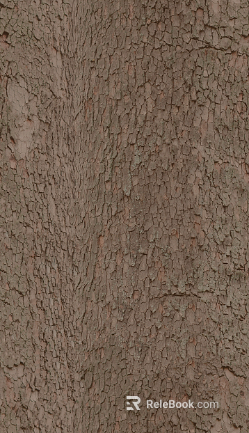 bark texture