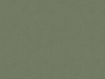 fine grain leather texture (ID:ffacg77903)